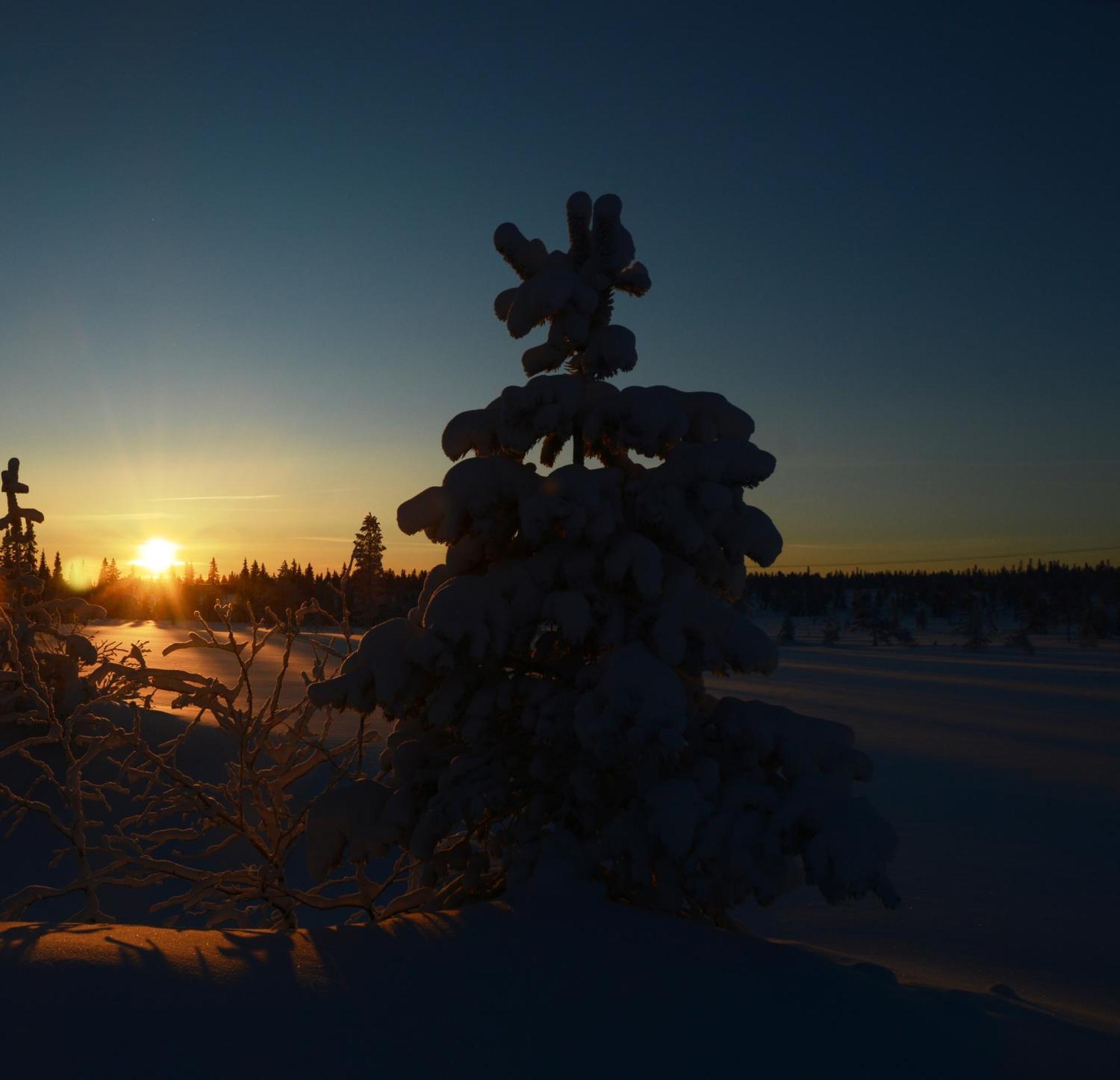 14 - Fulufjellets Nasjonalparker - Natur-, Dyre- Og Fugleopplevelser トリシル エクステリア 写真