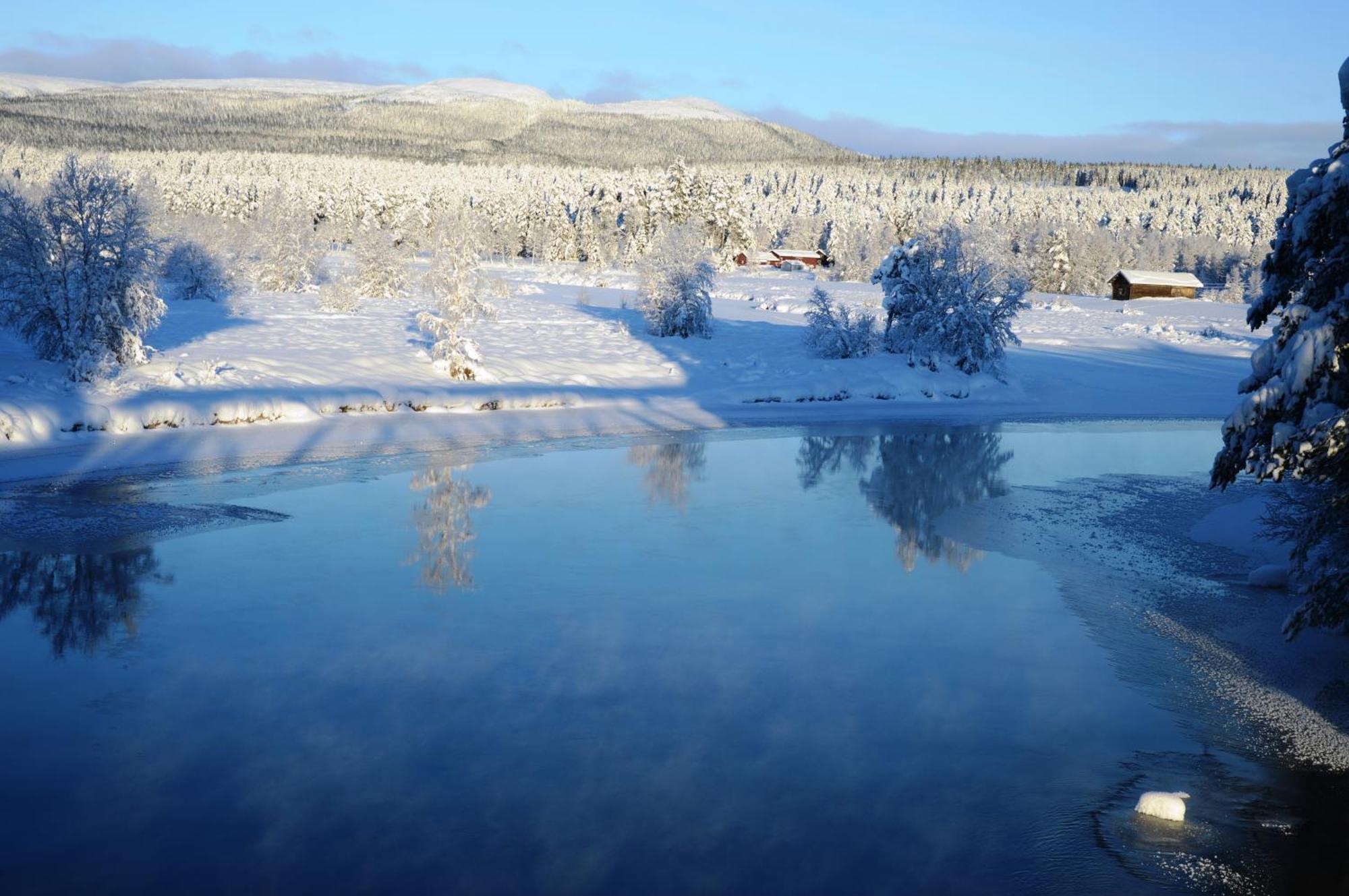 14 - Fulufjellets Nasjonalparker - Natur-, Dyre- Og Fugleopplevelser トリシル エクステリア 写真