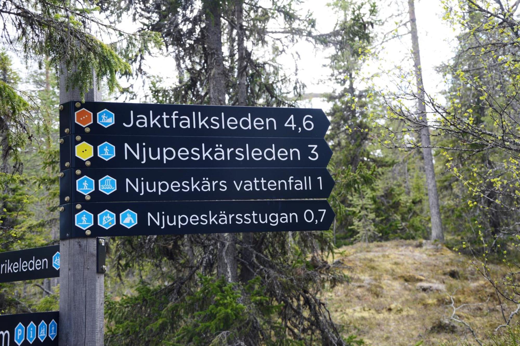 14 - Fulufjellets Nasjonalparker - Natur-, Dyre- Og Fugleopplevelser トリシル エクステリア 写真